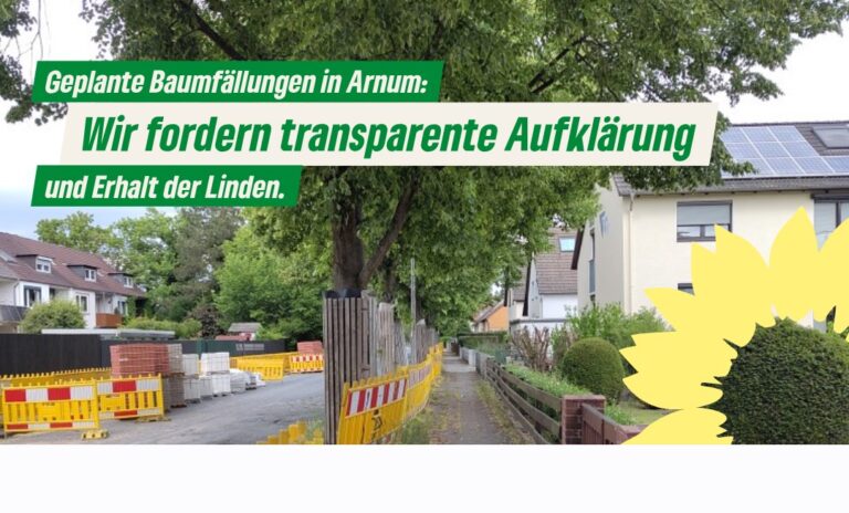 Geplante Baumfällungen in Arnum: Wir fordern transparente Aufklärung und Erhalt der Linden