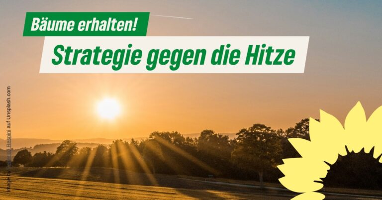 Strategie gegen die Hitze: Bäume erhalten!