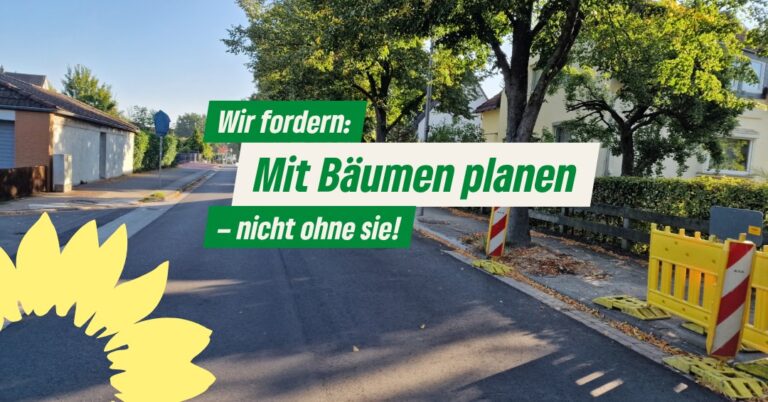 Baumfällungen in Hemmingen