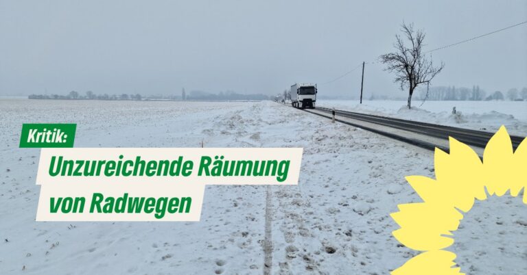 Unzureichende Räumung des Radwegs zwischen Ohlendorf und Arnum